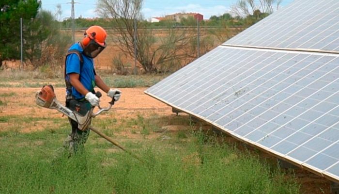 Soluciones para el control de vegetación en plantas fotovoltaicas.