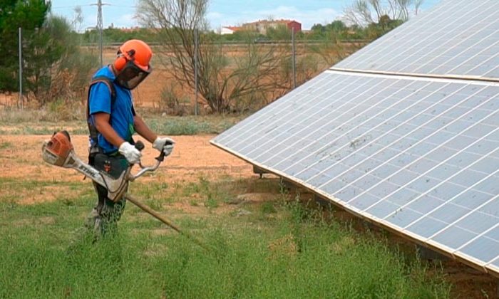 Soluciones para el control de vegetación en plantas fotovoltaicas.