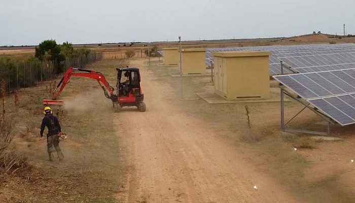 Desbroce en huertos solares: clave para su rendimiento y seguridad